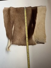 Springbok Skin.