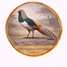 Sticker decal bird   Lady