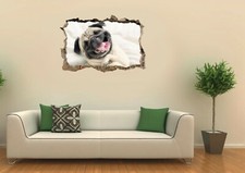 Cute Pug Puppy Dog Hole in The