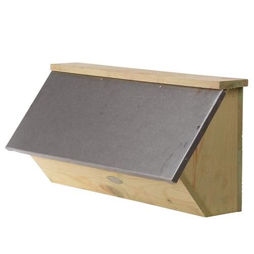 Swift nest box - swift,
