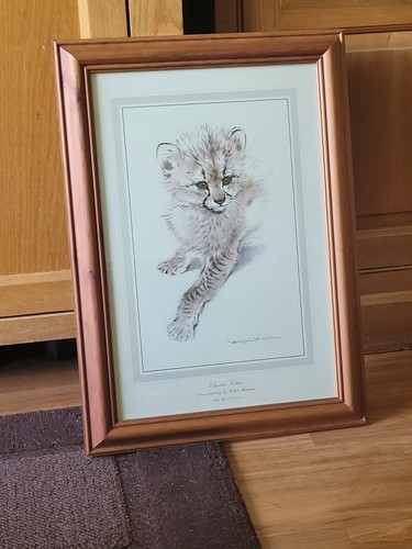 Print cheetah kitten - print/,