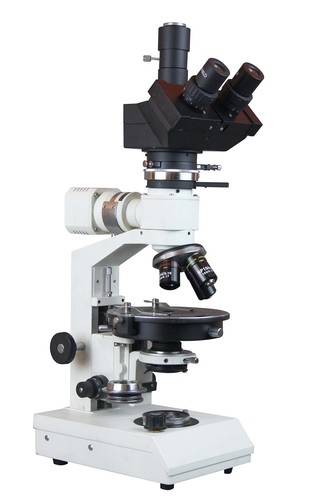 Radical 600x polarizing ore - radical,