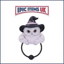 Nemesis Now Snowy Owl Magic