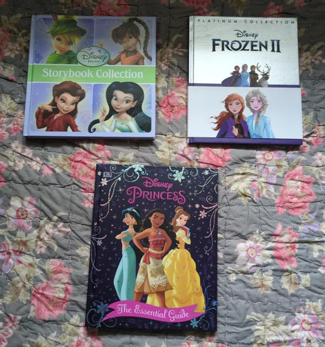Disney books bundle - books,