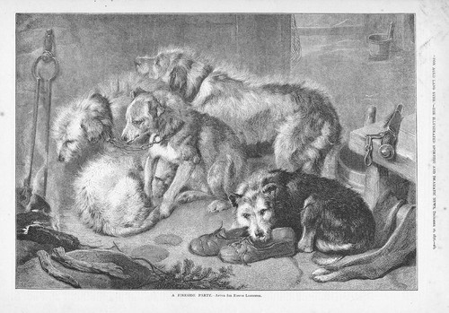 Dogs fireside party - a,