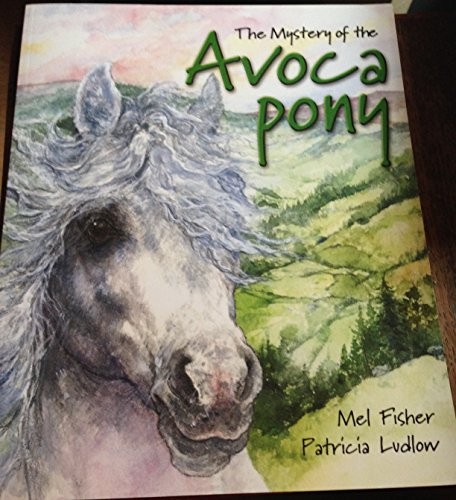 Mystery the avoca - pony, by
