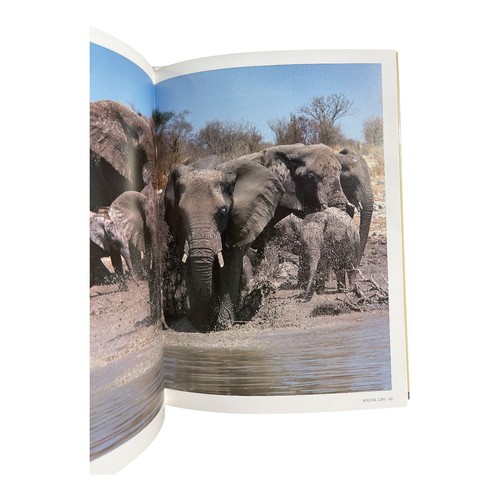 The illustrated encyclopedia - illustrated,