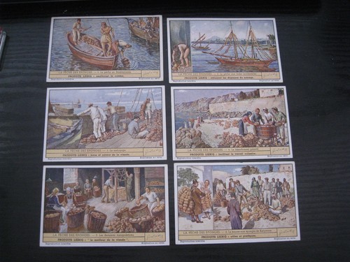 Liebig set cards s1450 - 6,