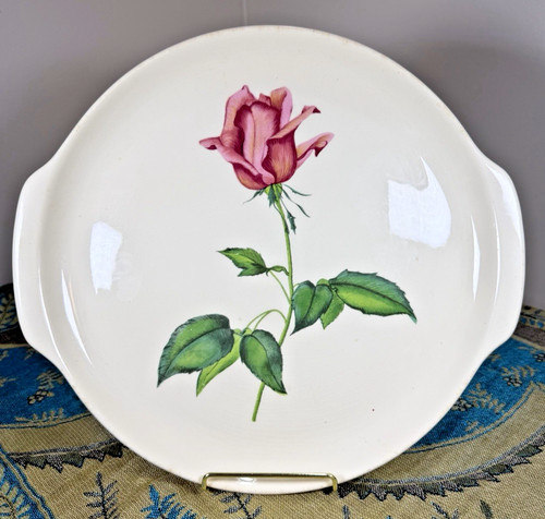 Betsy rose symphony - rose,