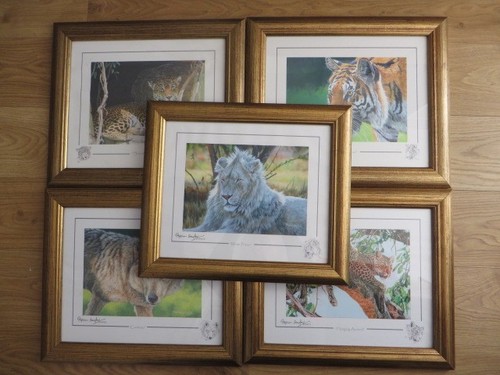 Stephen gayford signed - signed, print