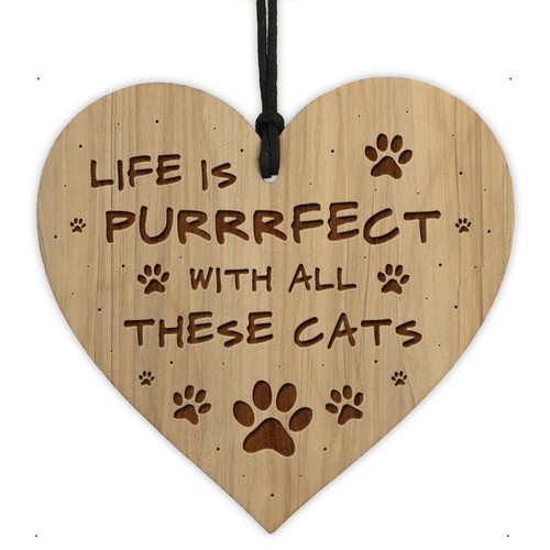 Life puuurrfect funny cat - is,