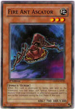 Fire Ant Ascator - ABPF-EN020