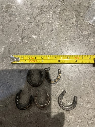 Set miniature horse shoes - of,