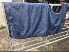 Equine Exercise Sheet - Pony