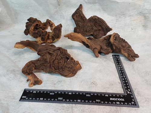 Mopani aquarium wood - mopani,