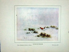 Original Old Vintage Print