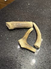Dog chewsPremium  Antler Sfor Dog who love to chew x3