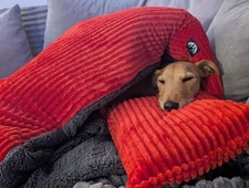 Jumbo Fleece Cord Dog Bed -