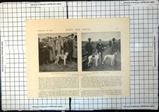 Antique Old Print Waterloo Cup