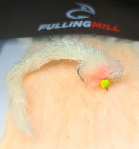 Fulling mill egg flesh - x,