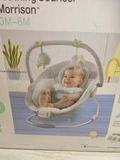 Ingenuity Morrison Soothing Baby Bouncer