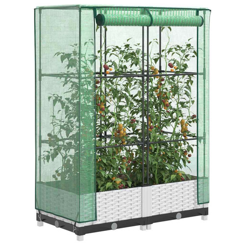 Raised bed greenhouse - raised,