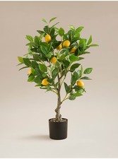 Artificial Lemon Tree