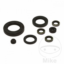 Engine Shaft Seal Set for