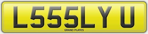 L555 lyu number - lyu,