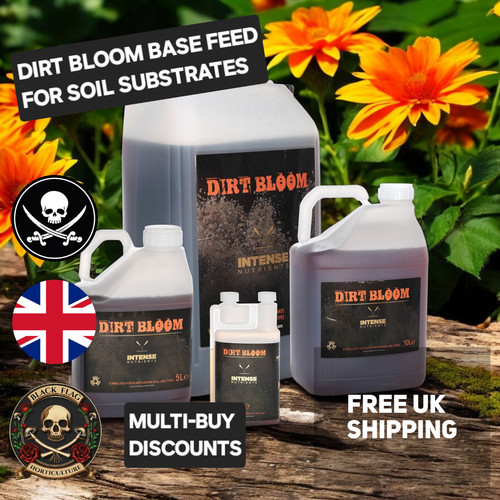 Intense nutrients dirt bloom - intense,