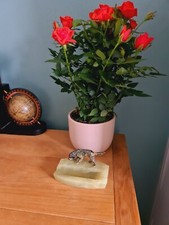 Antique Austrian Vienna Cold