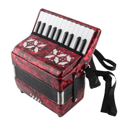 Irin accordion piano - irin,