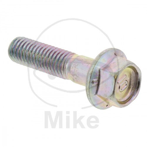 Brake disc bolt m8x33 - 1,