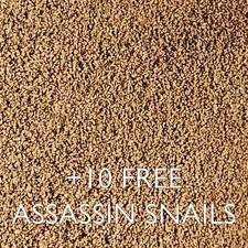 11g FINE FOOD FOR LIVE ASSASSIN SNAIL EATER CLEA HELENA FISH TANK AQUARIUM
