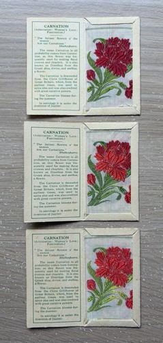 Kensitas wix flowers - wix,