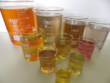 Borosilicate Glass Beakers 50