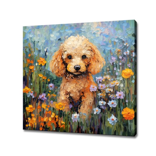 Poodle dog puppy - dog,