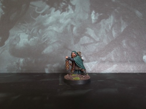 Painted dark sword miniatures - painted,