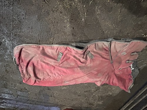 3ft heavyweight full neck - heavyweight,