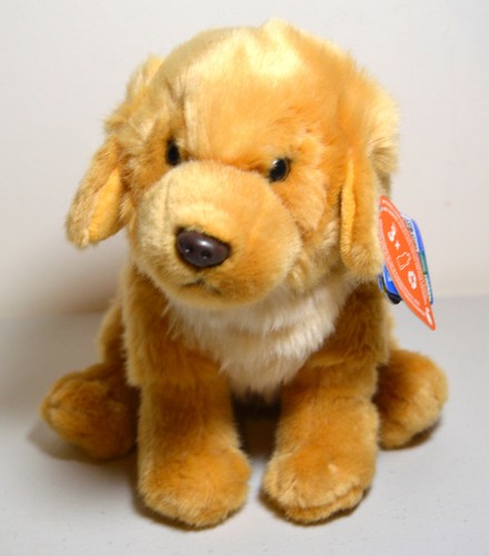Living nature golden retriever - living,