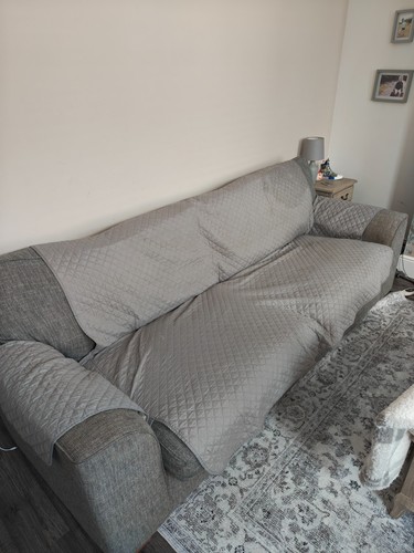 Extra large sofa - large, protector