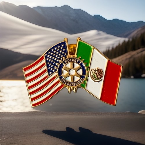 Rotary international usa - rotary, &