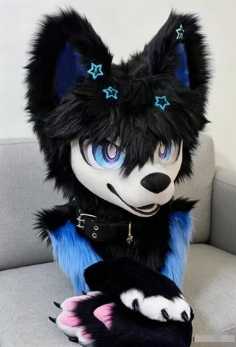 Fursuit long haired dog fox - fursuit,