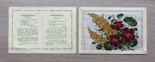 Kensitas wix flowers - a,