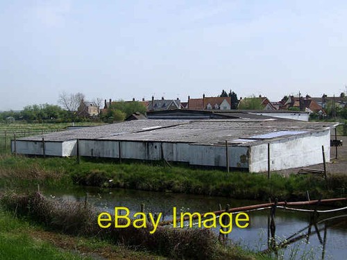 Photo 6x4 shellfish packing - photo,