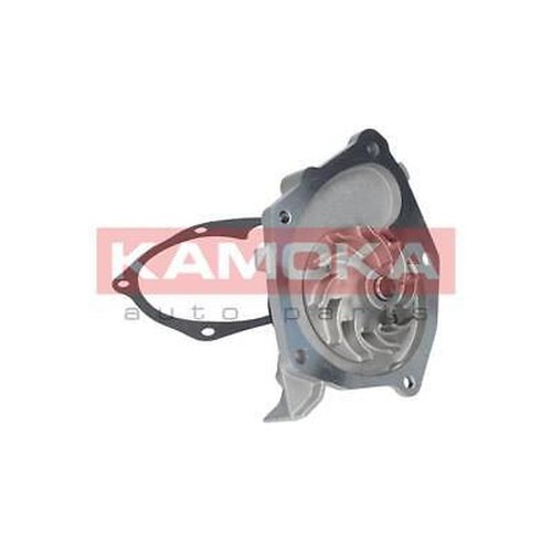 T0205 kamoka water - kamoka, pump