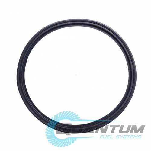 Quantum fuel pump tank seal - tank,