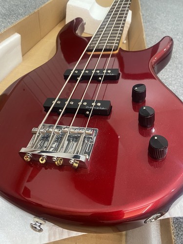 Bass guitar new - bass,