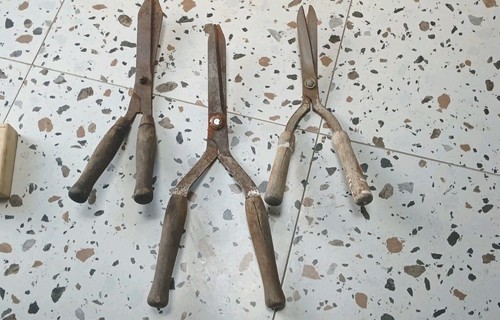 Large vintage garden shears - 1,