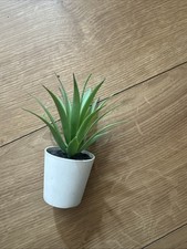 Aloe vera artificial mirror - aloe,